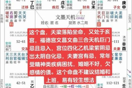 适合当艺术家的紫薇斗数