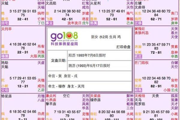 怎么看紫薇星盘的主星