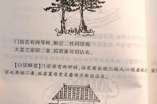 房子左右风水讲究