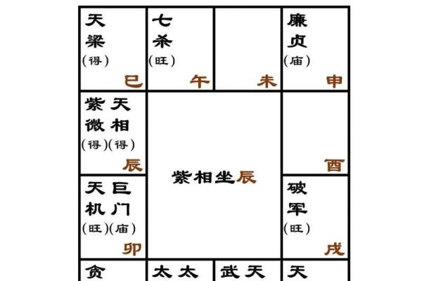 紫薇斗数对盘