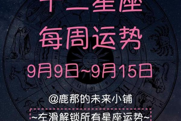 塔罗牌测试十二月事业上情况如何？