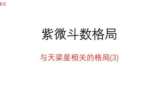 紫薇斗数天梁