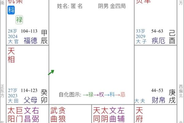 紫微斗数飞星看姻缘 紫微斗数飞星什么意思？