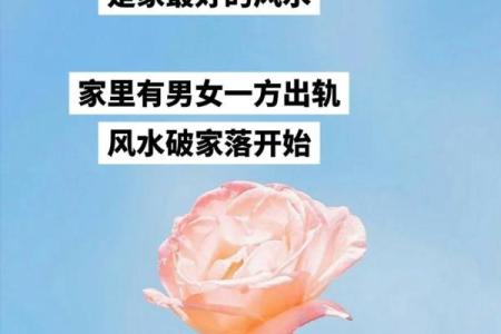 怎么样借助风水来增进夫妻感情