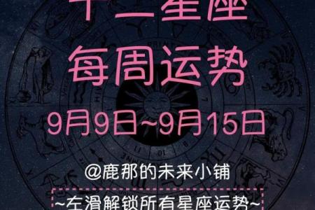 塔罗牌测试十二月事业上情况如何？