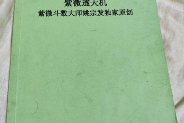 灵机紫薇斗数大师