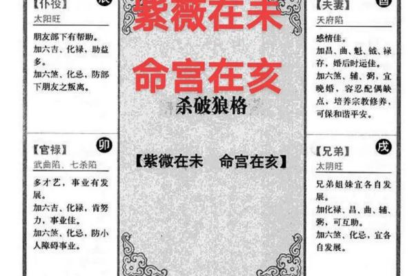 紫薇斗数看文化