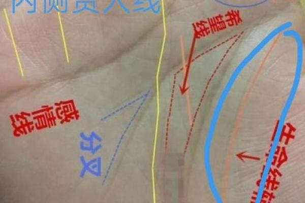 风水生命线短的人寿命短吗有什么说法
