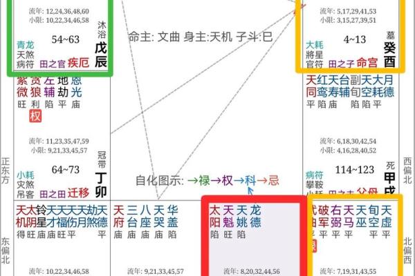 紫薇斗数官禄宫配偶