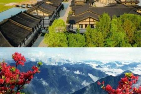 衢州庙前算命地址