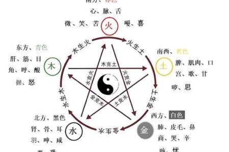 八字五行平衡