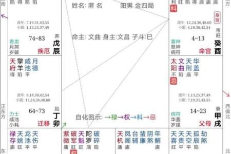 紫薇斗数忌转忌会发生什么
