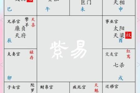 紫微斗数诸星落命宫之：天机星详解