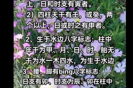 手机号八字