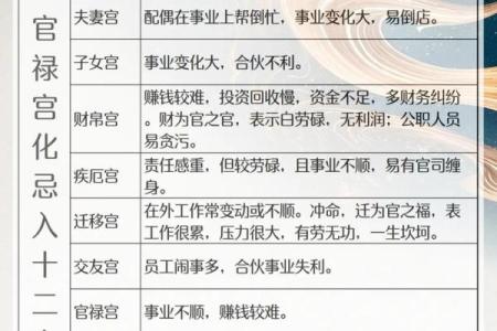 紫薇斗数官禄宫配偶