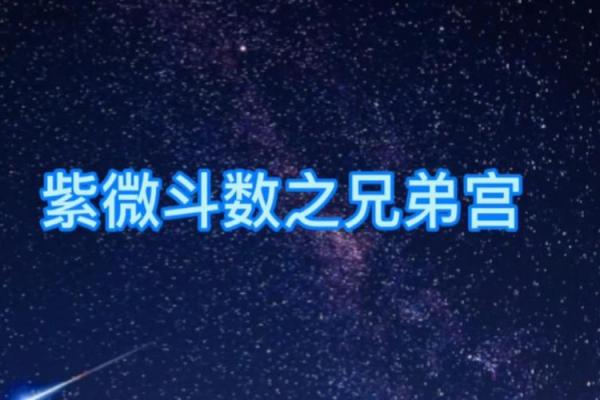 紫微斗数兄弟宫有紫薇天相