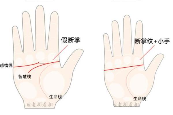 男人断掌手纹算命图解