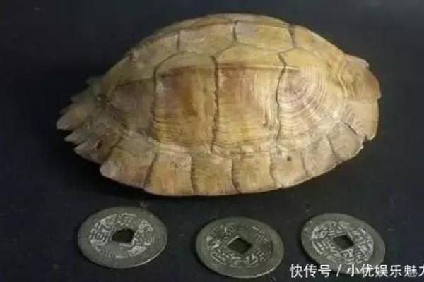 命理练功馆八字,西洋占星命理练功馆