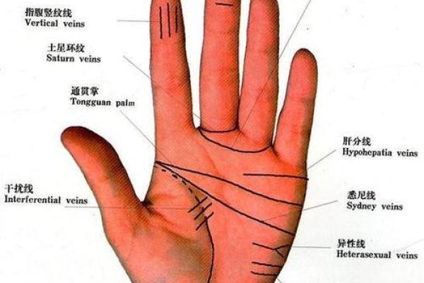 凯帝阿手相算命图解大全04