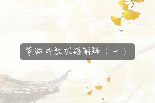 加紫薇斗数术语