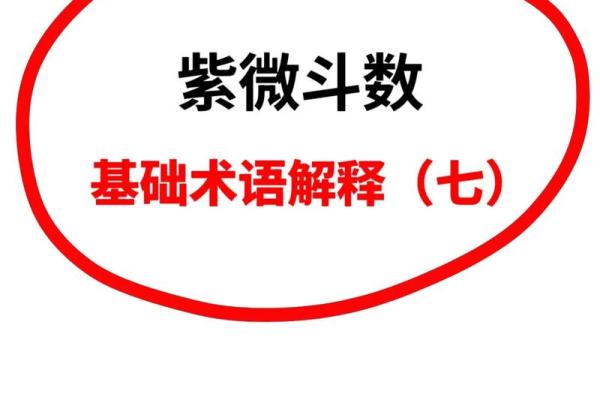 加紫薇斗数术语