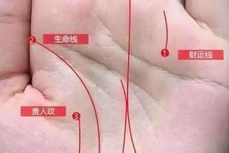 生命线算命：手掌上的玄机真能预测你的命运？