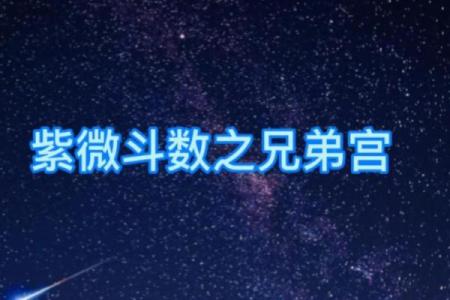 紫微斗数兄弟宫有紫薇天相