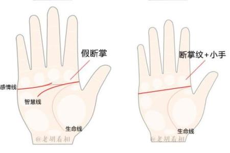 男人断掌手纹算命图解