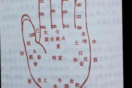 凯帝阿手相算命图解大全04