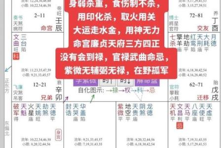 紫薇斗数预测疫情