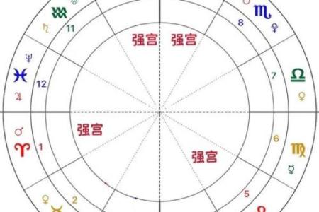 紫薇斗数太岁宫位