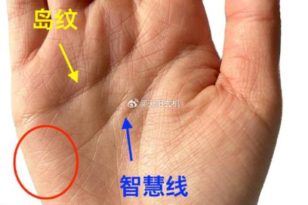 图解;手相赌运纹算命
