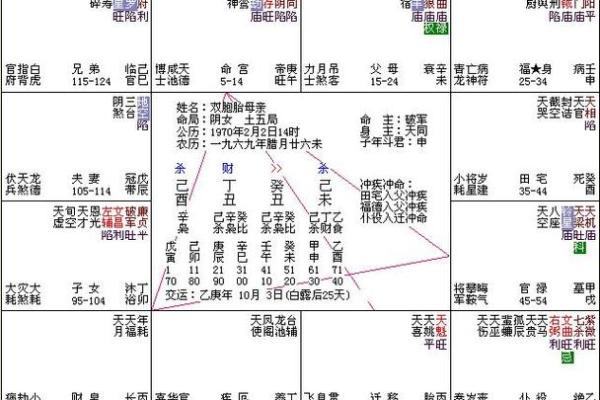 紫薇命盘紫薇斗数