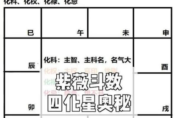 紫薇斗数中的星