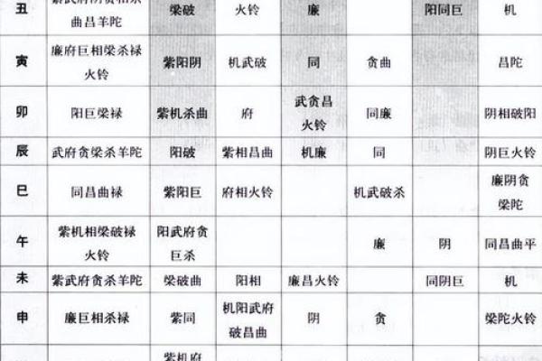 郭晶晶紫薇斗数