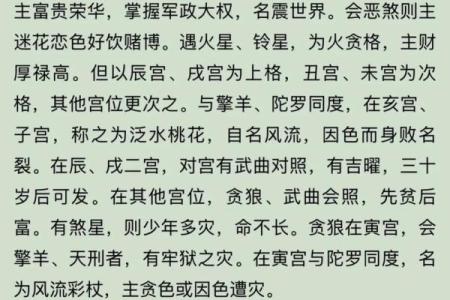 紫微斗数杀破狼 紫微斗数？