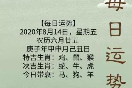 今日运势每日一签测试
