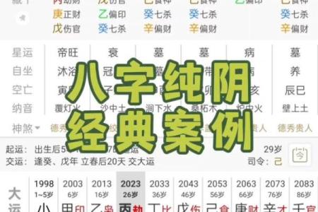 女命八字纯阳无子