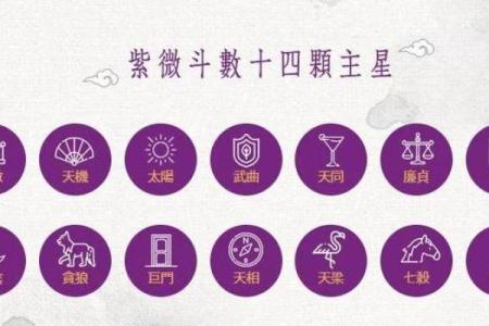今日运势紫薇斗数