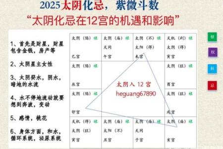 紫薇斗数晚运