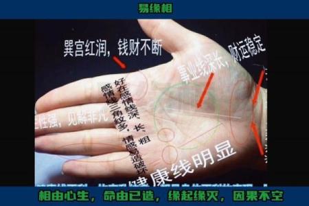 手相算命话语,手相算命说法