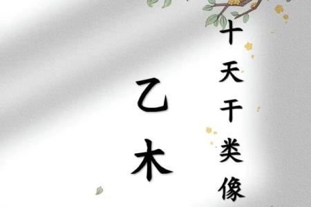 乙木性格特点详解，八字分析师为你解读！