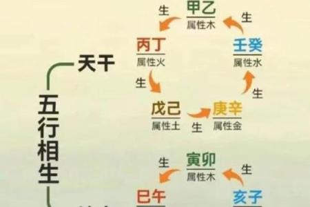 八字天干三壬一癸的女命