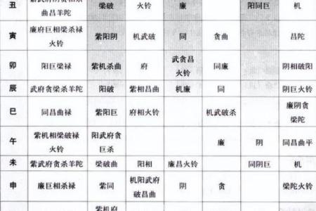 郭晶晶紫薇斗数