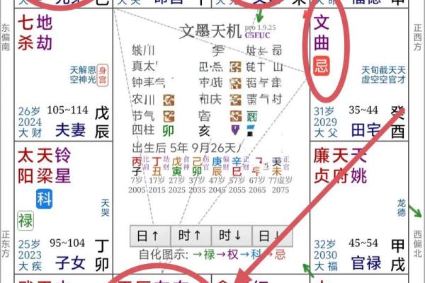 紫薇斗数工作