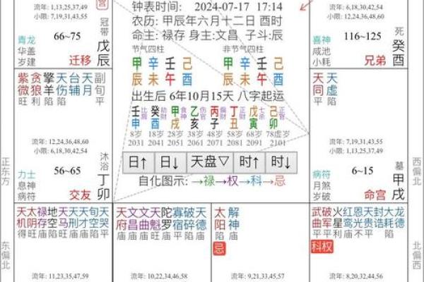 紫薇斗数详细测试