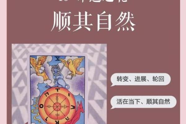 塔罗测试后半生命运