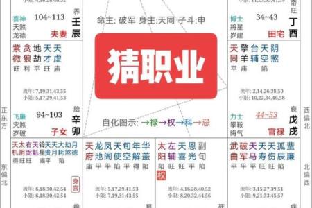 紫薇斗数中左辅右弼