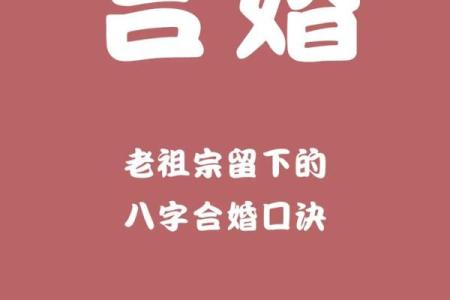 合八字多少钱