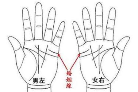 手相算命婚姻线详解